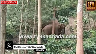 ಹೃದಯಸ್ಪರ್ಶಿ ಘಟನೆ: ಮಳೆಯಲ್ಲಿ ರಸ್ತೆ ದಾಟಲು ಪರದಾಡುತ್ತಿದ್ದ ವಿಕಲಚೇತನ ಯುವಕನ ಸಹಾಯಕ್ಕೆ ಬಂದ  ಪೊಲೀಸ್