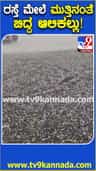 ಯಾದಗಿರಿ: ರಸ್ತೆ ಮೇಲೆ ಮುತ್ತಿನಂತೆ ಸುರಿದ ಆಲಿಕಲ್ಲು