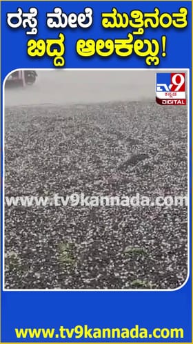 ಯಾದಗಿರಿ: ರಸ್ತೆ ಮೇಲೆ ಮುತ್ತಿನಂತೆ ಸುರಿದ ಆಲಿಕಲ್ಲು