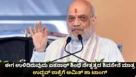 ಉಳಿದಿರುವುದು ಏಕನಾಥ್ ಶಿಂಧೆ ನೇತೃತ್ವದ ಶಿವಸೇನೆ ಮಾತ್ರ; ಅಮಿತ್ ಶಾ ಟಾಂಗ್