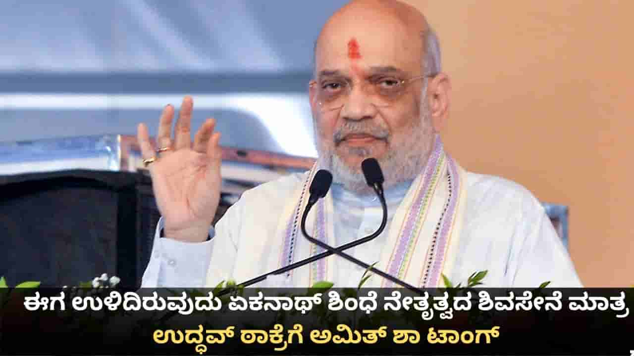 ಈಗ ಉಳಿದಿರುವುದು ಏಕನಾಥ್ ಶಿಂಧೆ ನೇತೃತ್ವದ ಶಿವಸೇನೆ ಮಾತ್ರ; ಉದ್ಧವ್ ಠಾಕ್ರೆಗೆ ಅಮಿತ್ ಶಾ ಟಾಂಗ್