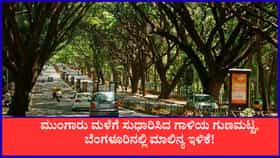 ಮುಂಗಾರು ಮಳೆಗೆ ಸುಧಾರಿಸಿದ ಗಾಳಿಯ ಗುಣಮಟ್ಟ