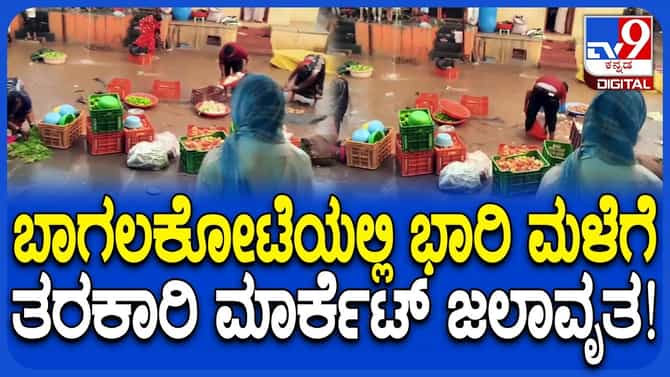 ಬಾಗಲಕೋಟೆ: ಭಾರಿ ಮಳೆಗೆ ಜಮಖಂಡಿ ತರಕಾರಿ ಮಾರುಕಟ್ಟೆ ಜಲಾವೃತ