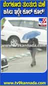 ಬೆಂಗಳೂರಿನಲ್ಲಿ ತುಂತುರು ಮಳೆ: ನಗರವೀಗ ಕೂಲ್ ಕೂಲ್