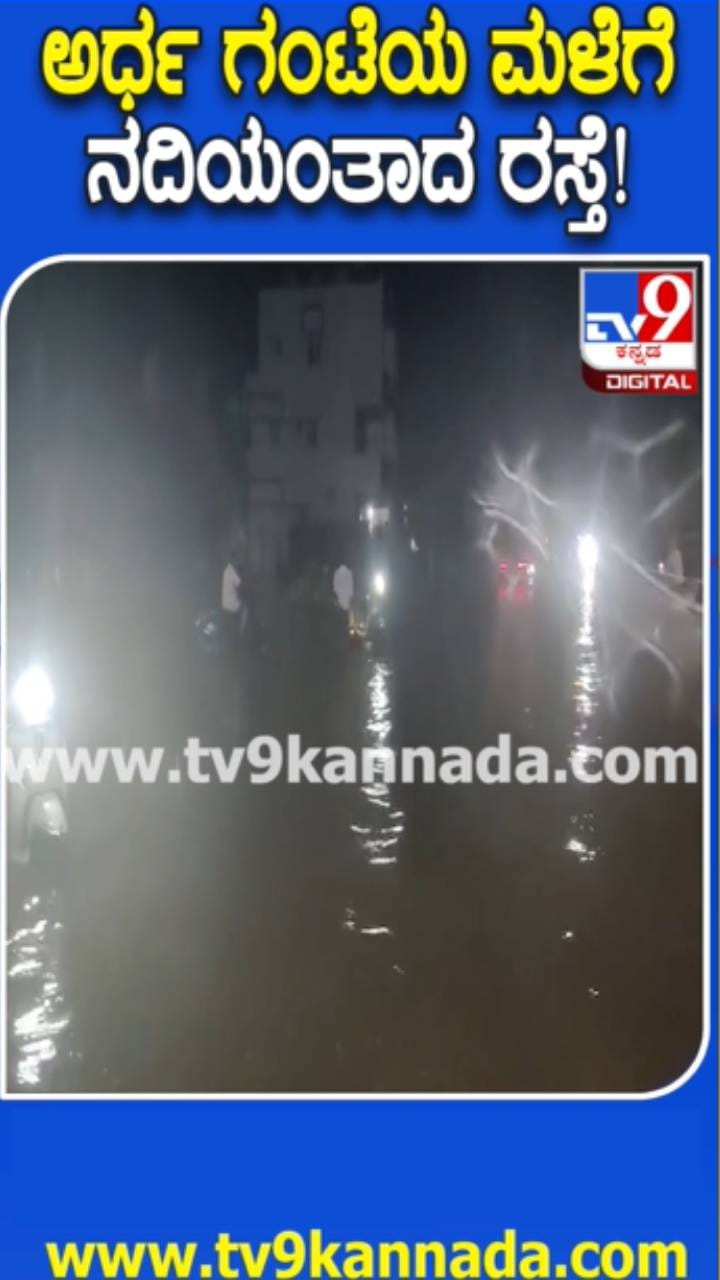 ಅರ್ಧ ಗಂಟೆ ಸುರಿದ ಮಳೆಗೆ ರಸ್ತೆಗಳು ಜಲಾವೃತ