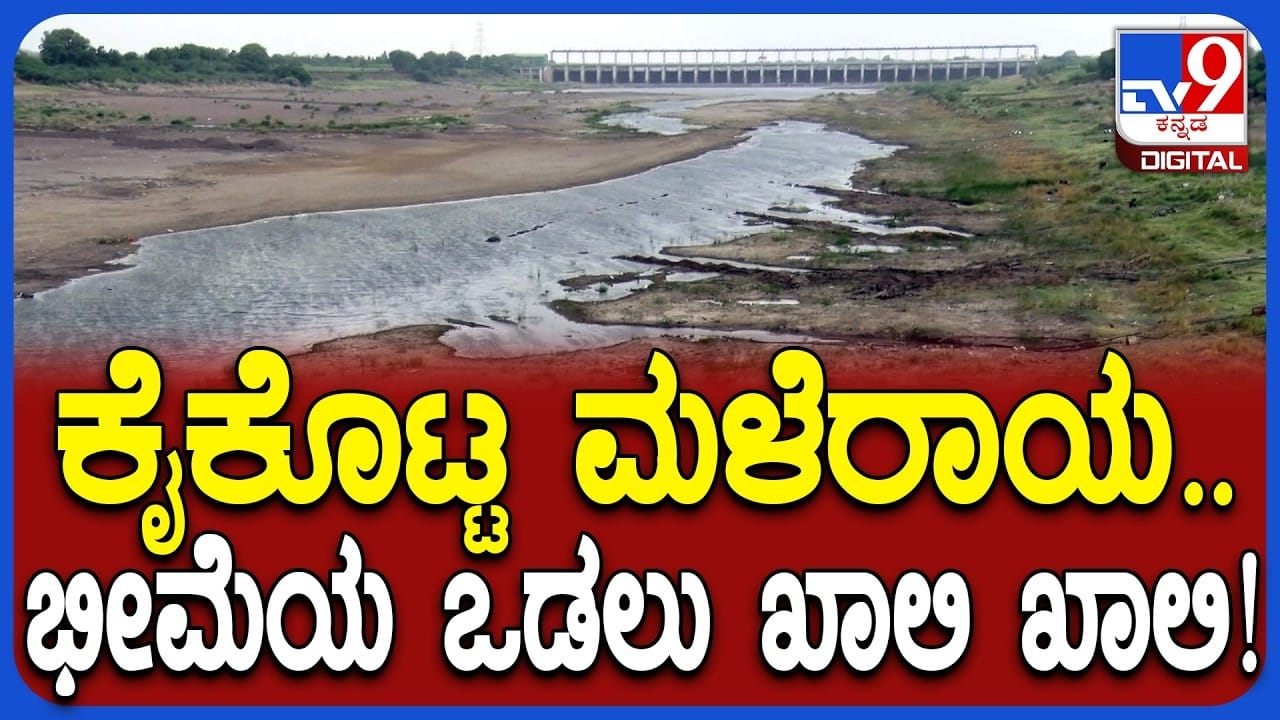 ಮಳೆಯಿಲ್ಲದೇ ಬರಿದಾಯ್ತು ಭೀಮಾ ನದಿ: ಜಾನುವಾರುಗಳಿಗೂ ಕುಡಿಯಲು ನೀರಿಲ್ಲ