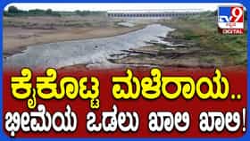ಮಳೆಯಿಲ್ಲದೇ ಬರಿದಾಯ್ತು ಭೀಮಾ ನದಿ: ಜಾನುವಾರುಗಳಿಗೂ ಕುಡಿಯಲು ನೀರಿಲ್ಲ