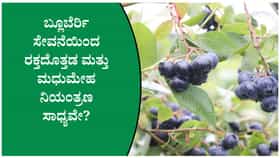 ಪ್ರತಿದಿನ ಬ್ಲೂಬೆರ್ರಿ ತಿಂದರೆ ದೇಹದಲ್ಲಿ ಏನೆಲ್ಲಾ ಆಗುತ್ತದೆ ನೋಡಿ!