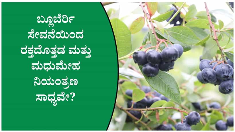 ಪ್ರತಿದಿನ ಬ್ಲೂಬೆರ್ರಿ ತಿಂದರೆ ಆರೋಗ್ಯಕ್ಕೆ ಎಷ್ಟೊಂದು ಲಾಭವಿದೆ ಗೊತ್ತೆ? ವಿಜ್ಞಾನ ಹೇಳುವ ಅಚ್ಚರಿಯ ಸಂಗತಿಗಳು