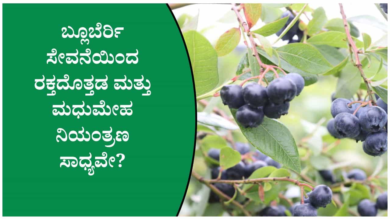 ಪ್ರತಿದಿನ ಬ್ಲೂಬೆರ್ರಿ ತಿಂದರೆ ಆರೋಗ್ಯಕ್ಕೆ ಎಷ್ಟೊಂದು ಲಾಭವಿದೆ ಗೊತ್ತೆ? ವಿಜ್ಞಾನ ಹೇಳುವ ಅಚ್ಚರಿಯ ಸಂಗತಿಗಳು