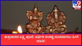 ಶುಕ್ರವಾರದ ಲಕ್ಷ್ಮಿ ಪೂಜೆ; ಆರ್ಥಿಕ ಸಂಕಷ್ಟ ದೂರವಾಗಲು ಹೀಗೆ ಮಾಡಿ!