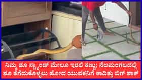 ಪಾದರಕ್ಷೆ ಧರಿಸುವ ಮುನ್ನ ಎಚ್ಚರ..!: ನೆಲಮಂಗಲದಲ್ಲಿ ಶೂ ರ್ಯಾಕ್ ಒಳಗೆ ಕುಳಿತಿತ್ತು ದೈತ್ಯ ನಾಗರಹಾವು