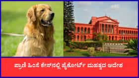 ಕ್ರೌರ್ಯ ಮೆರೆದ ಮಾಲೀಕನಿಗೆ ನಾಯಿ ವಾಪಸ್ ನೀಡಲು ಕೋರ್ಟ್ ನಕಾರ