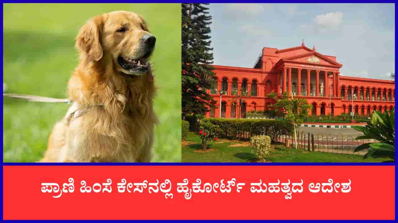 ‘ಪ್ರಾಣಿಗಳಿಗೂ ಹಿಂಸೆಯಿಲ್ಲದೆ ಬದುಕುವ ಹಕ್ಕಿದೆ’: ಕ್ರೌರ್ಯ ಮೆರೆದ ಮಾಲೀಕನಿಗೆ ನಾಯಿ ವಾಪಸ್ ನೀಡಲು ಕೋರ್ಟ್ ನಕಾರ