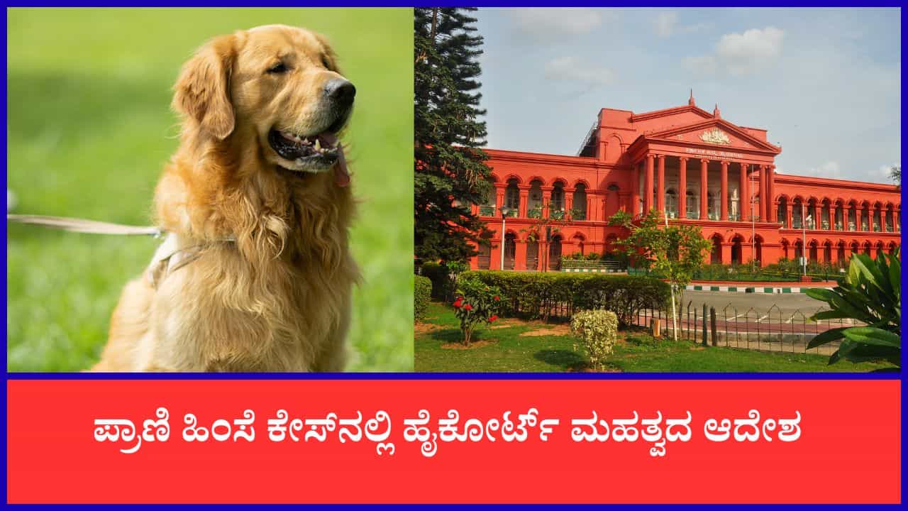 ‘ಪ್ರಾಣಿಗಳಿಗೂ ಹಿಂಸೆಯಿಲ್ಲದೆ ಬದುಕುವ ಹಕ್ಕಿದೆ’: ಕ್ರೌರ್ಯ ಮೆರೆದ ಮಾಲೀಕನಿಗೆ ನಾಯಿ ವಾಪಸ್ ನೀಡಲು ಕೋರ್ಟ್ ನಕಾರ