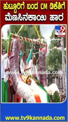 ಹಾರೋಹಳ್ಳಿಯಲ್ಲಿ CM ಡಿಕೆಶಿಗೆ ದೃಷ್ಟಿ ತೆಗೆಯಲು ಮೆಣಸಿನಕಾಯಿ ಹಾರ!