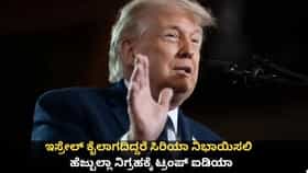 ಸಿರಿಯಾ ನಿಭಾಯಿಸಲಿ; ಹೆಜ್ಬುಲ್ಲಾ ನಿಗ್ರಹಕ್ಕೆ ಟ್ರಂಪ್ ಐಡಿಯಾ