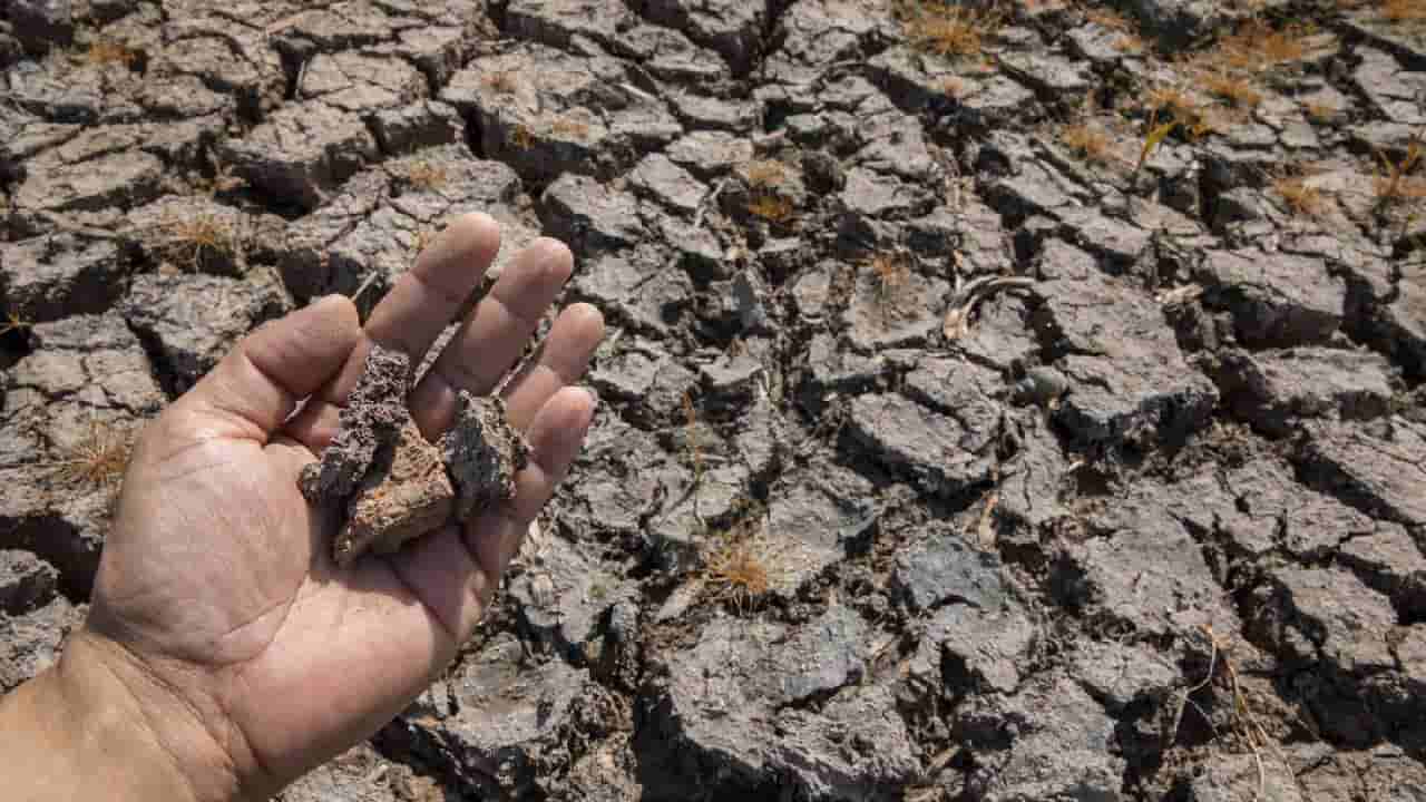 World Day to Combat Desertification and Drought 2026: ಬರಡಾಗುತ್ತಿರುವ ಭೂಮಿಯ ರಕ್ಷಣೆ ನಮ್ಮೆಲ್ಲರ ಹೊಣೆ