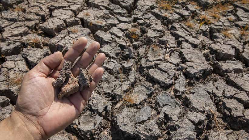 World Day to Combat Desertification and Drought 2026: ಬರಡಾಗುತ್ತಿರುವ ಭೂಮಿಯ ರಕ್ಷಣೆ ನಮ್ಮೆಲ್ಲರ ಹೊಣೆ