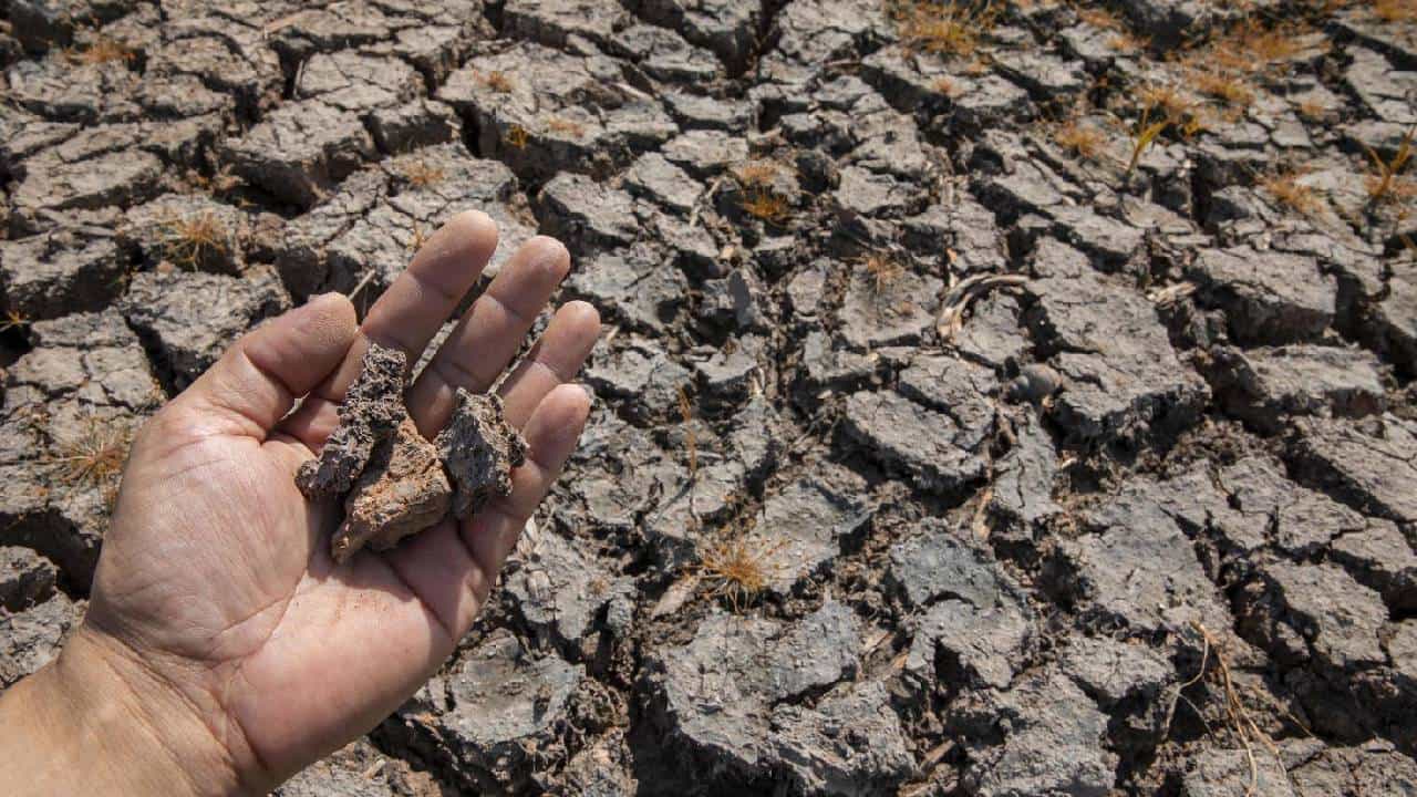 World Day to Combat Desertification and Drought 2026: ಬರಡಾಗುತ್ತಿರುವ ಭೂಮಿಯ ರಕ್ಷಣೆ ನಮ್ಮೆಲ್ಲರ ಹೊಣೆ World Day to Combat Desertification and Drought 2026: ಬರಡಾಗುತ್ತಿರುವ ಭೂಮಿಯ ರಕ್ಷಣೆ ನಮ್ಮೆಲ್ಲರ ಹೊಣೆ