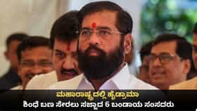 ಮಹಾರಾಷ್ಟ್ರದಲ್ಲಿ ಹೈಡ್ರಾಮಾ; ಶಿಂಧೆ ಬಣ ಸೇರಲು ಸಜ್ಜಾದ 6 ಬಂಡಾಯ ಸಂಸದರು