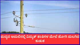 ಮದ್ಯದ ಅಮಲಿನಲ್ಲಿ ಹೈ ವೋಲ್ಟೇಜ್ ತಂತಿ ಮೇಲೆ ಮಲಗಿದ ವ್ಯಕ್ತಿ
