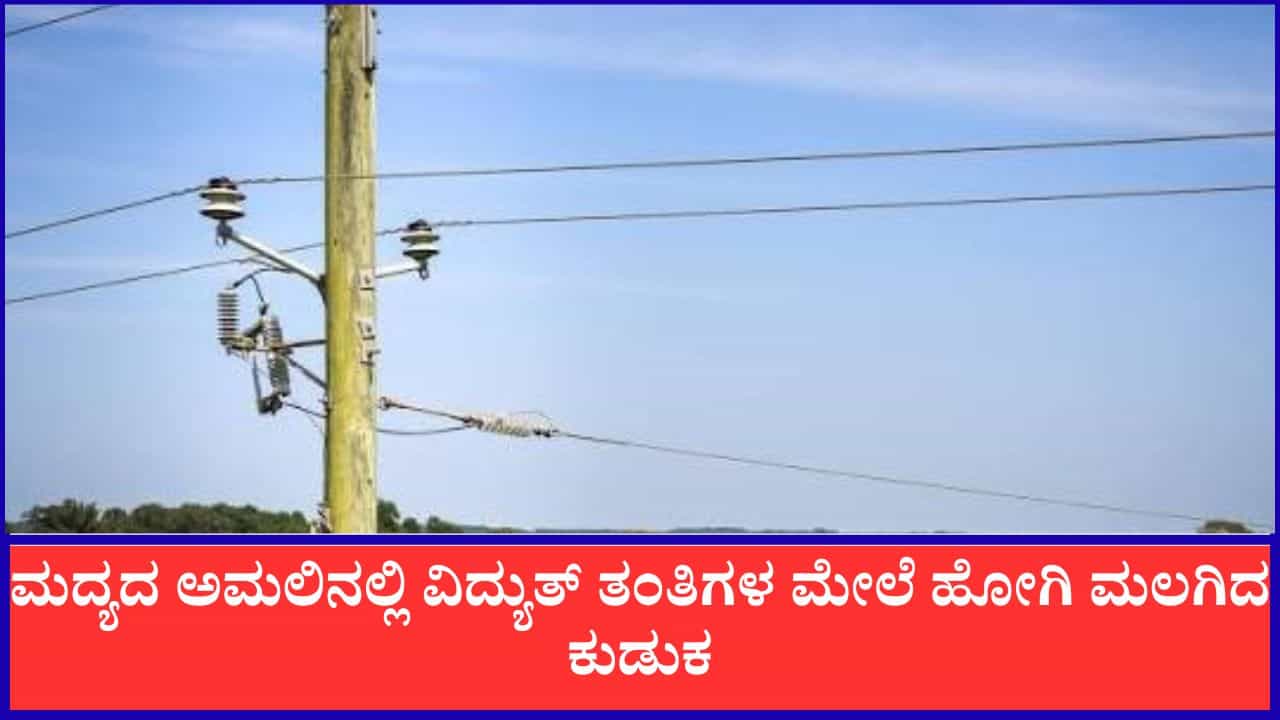 Video: ಮದ್ಯದ ಅಮಲಿನಲ್ಲಿ ವಿದ್ಯುತ್ ಕಂಬ ಹತ್ತಿ ಹೈ ವೋಲ್ಟೇಜ್ ತಂತಿ ಮೇಲೆ ಮಲಗಿದ ವ್ಯಕ್ತಿ, ಆಮೇಲೇನಾಯ್ತು ನೋಡಿ