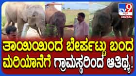 ತಾಯಿಯಿಂದ ಬೇರ್ಪಟ್ಟು ಗ್ರಾಮಕ್ಕೆ ಬಂದ ಮರಿಯಾನೆ: ಆಹಾರ ನೀಡಿದ ಗ್ರಾಮಸ್ಥರು!