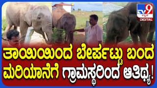 ತಾಯಿಯಿಂದ ಬೇರ್ಪಟ್ಟು ಗ್ರಾಮಕ್ಕೆ ಬಂದ ಮರಿಯಾನೆ: ಕಬ್ಬು, ಬಾಳೆಹಣ್ಣು ನೀಡಿದ ಗ್ರಾಮಸ್ಥರು!
