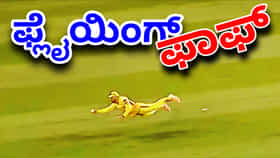 ಫಾಫ್ ಡುಪ್ಲೆಸಿಸ್ ಸೂಪರ್​ಮ್ಯಾನ್ ಕ್ಯಾಚ್​ಗೆ ಕ್ರಿಕೆಟ್ ಪ್ರಿಯರು ಫಿದಾ!