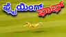 ಫಾಫ್ ಡುಪ್ಲೆಸಿಸ್ ಸೂಪರ್​ಮ್ಯಾನ್ ಕ್ಯಾಚ್​ಗೆ ಕ್ರಿಕೆಟ್ ಪ್ರಿಯರು ಫಿದಾ!