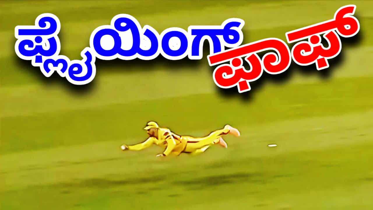 ಫಾಫ್ ಡುಪ್ಲೆಸಿಸ್ ಸೂಪರ್​ಮ್ಯಾನ್ ಕ್ಯಾಚ್​ಗೆ ಕ್ರಿಕೆಟ್ ಪ್ರಿಯರು ಫಿದಾ!
