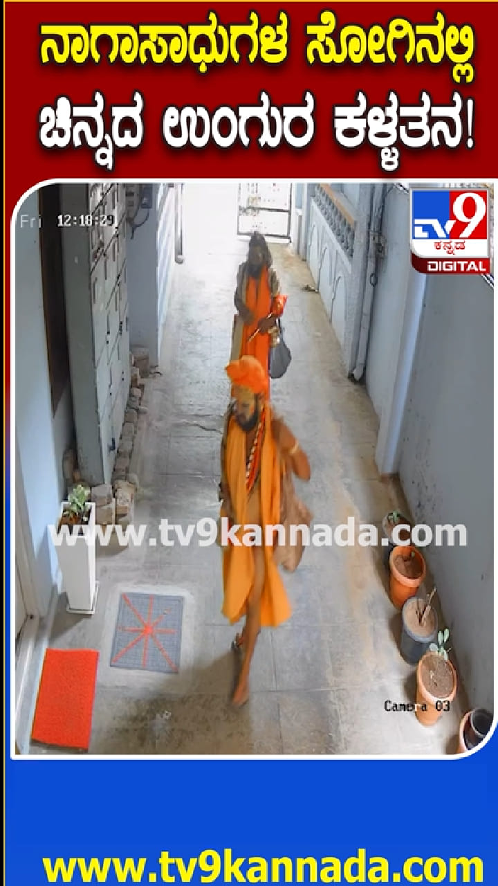 ನಾಗಸಾಧುಗಳ ವೇಷದಲ್ಲಿ ಬಂದು ಕಳ್ಳತನ