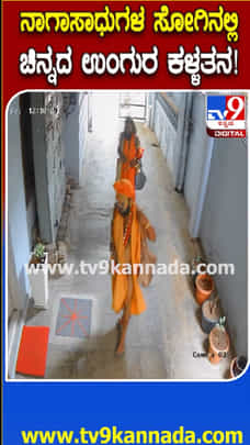 ನಾಗಸಾಧುಗಳ ವೇಷದಲ್ಲಿ ಬಂದು ಕಳ್ಳತನ