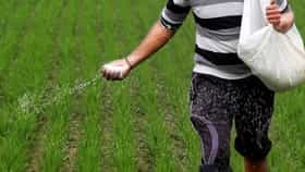 ಯೂರಿಯಾ ಬೆಲೆ ಅರ್ಧದಷ್ಟು ಕುಸಿತ?