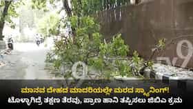 ದುರ್ಬಲ ಮರಗಳ ಪತ್ತೆಗೆ ಮಾನವ ದೇಹದ ರೀತಿ ಸ್ಕ್ಯಾನಿಂಗ್! ಜಿಬಿಎ ಹೊಸ ಐಡಿಯಾ