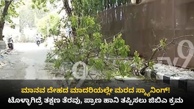 ದುರ್ಬಲ ಮರಗಳ ಪತ್ತೆಗೆ ಮಾನವ ದೇಹದ ರೀತಿ ಸ್ಕ್ಯಾನಿಂಗ್! ಜಿಬಿಎ ಹೊಸ ಐಡಿಯಾ