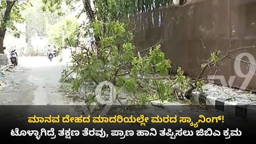 ಮರ ಬಿದ್ದು ಸಾವು-ನೋವಿಗೆ ಬ್ರೇಕ್: ದುರ್ಬಲ ಮರಗಳ ಪತ್ತೆಗೆ ಮಾನವ ದೇಹದ ಸ್ಕ್ಯಾನಿಂಗ್ ಮಾದರಿ ತಂತ್ರಜ್ಞಾನಕ್ಕೆ ಜಿಬಿಎ ಮುಂದು!