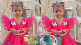 ನಾಯಿ ಹಾಗೂ ಎರಡು ವರ್ಷದ ಪುಟ್ಟ ಕಂದಮ್ಮ ನಾಲ್ಕು ದಿನಗಳಿಂದ ನಾಪತ್ತೆ
