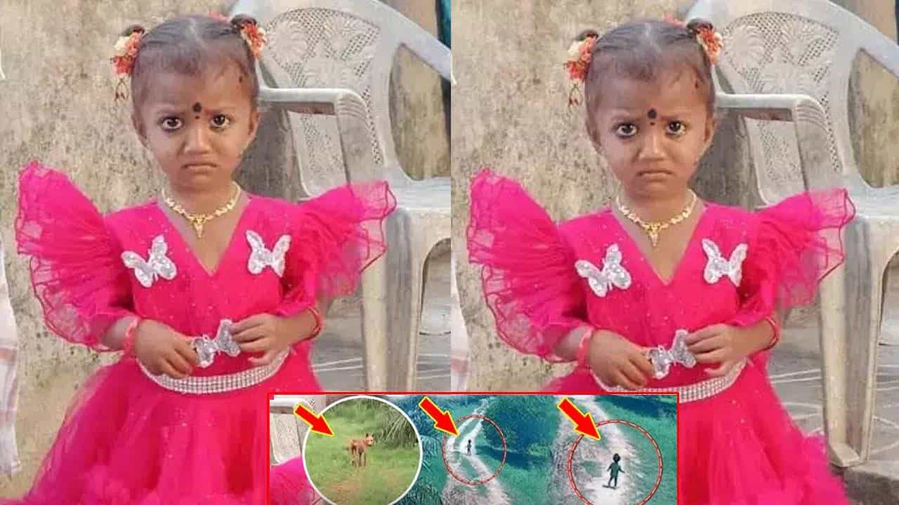 ನಾಯಿ ಹಾಗೂ ಎರಡು ವರ್ಷದ ಮಗು ನಾಲ್ಕು ದಿನಗಳಿಂದ ನಾಪತ್ತೆ, ಮೂರು ದಿನಗಳ ಬಳಿಕ ವಾಪಸಾದ ನಾಯಿ ನಾಯಿ ಹಾಗೂ ಎರಡು ವರ್ಷದ ಮಗು ನಾಲ್ಕು ದಿನಗಳಿಂದ ನಾಪತ್ತೆ, ಮೂರು ದಿನಗಳ ಬಳಿಕ ವಾಪಸಾದ ನಾಯಿ