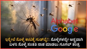 ಸೊಳ್ಳೆಗಳ ಸಂತತಿ ಮುಗಿಸಲು ಗೂಗಲ್ ಮಾಸ್ಟರ್ ಪ್ಲಾನ್!