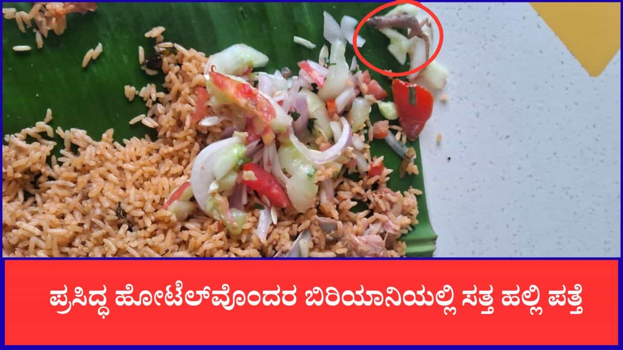 ಬಿರಿಯಾನಿಯಲ್ಲಿ ಸತ್ತ ಹಲ್ಲಿ ಪತ್ತೆ: ಒಬ್ಬೊಬ್ಬರೇ ಗ್ರಾಹಕರು ಆಸ್ಪತ್ರೆ ದಾಖಲು ಬಿರಿಯಾನಿಯಲ್ಲಿ ಸತ್ತ ಹಲ್ಲಿ ಪತ್ತೆ: ಒಬ್ಬೊಬ್ಬರೇ ಗ್ರಾಹಕರು ಆಸ್ಪತ್ರೆ ದಾಖಲು