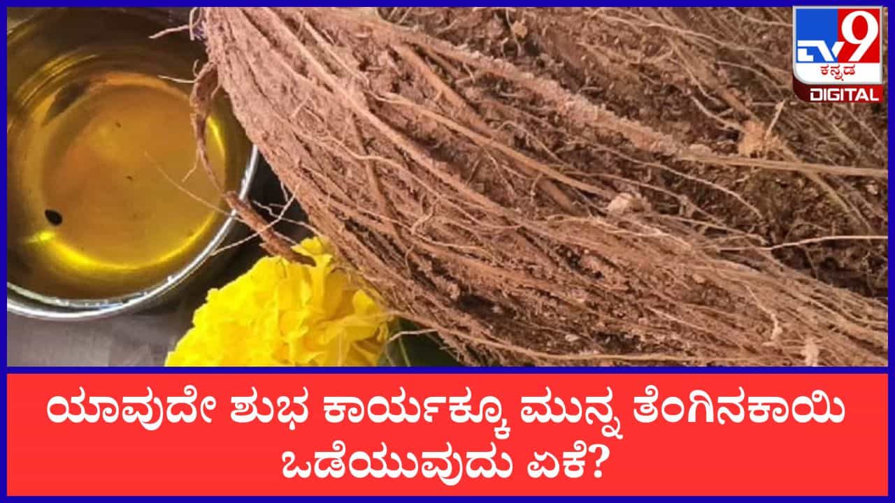 Hindu Rituals: ಯಾವುದೇ ಶುಭ ಕಾರ್ಯಕ್ಕೂ ಮುನ್ನ ತೆಂಗಿನಕಾಯಿ ಒಡೆಯುವುದೇಕೆ? ಅಸಲಿ ರಹಸ್ಯ ಇಲ್ಲಿದೆ!