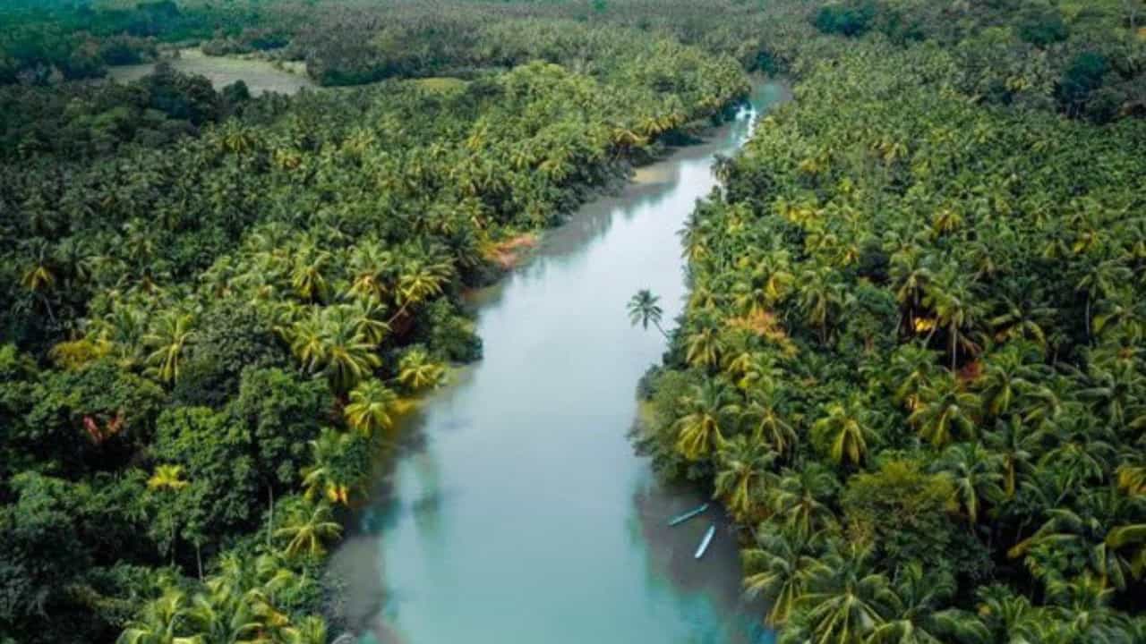 ಕರ್ನಾಟಕ ಕರಾವಳಿಯ ಸೌಂದರ್ಯಕ್ಕೆ ಮನಸೋತ ಆನಂದ್ ಮಹೀಂದ್ರಾ! ಶರಾವತಿ ಹಿನ್ನೀರಿನ ಸೌಂದರ್ಯ ಬಣ್ಣಿಸಿ ಪೋಸ್ಟ್ ಕರ್ನಾಟಕ ಕರಾವಳಿಯ ಸೌಂದರ್ಯಕ್ಕೆ ಮನಸೋತ ಆನಂದ್ ಮಹೀಂದ್ರಾ! ಶರಾವತಿ ಹಿನ್ನೀರಿನ ಸೌಂದರ್ಯ ಬಣ್ಣಿಸಿ ಪೋಸ್ಟ್