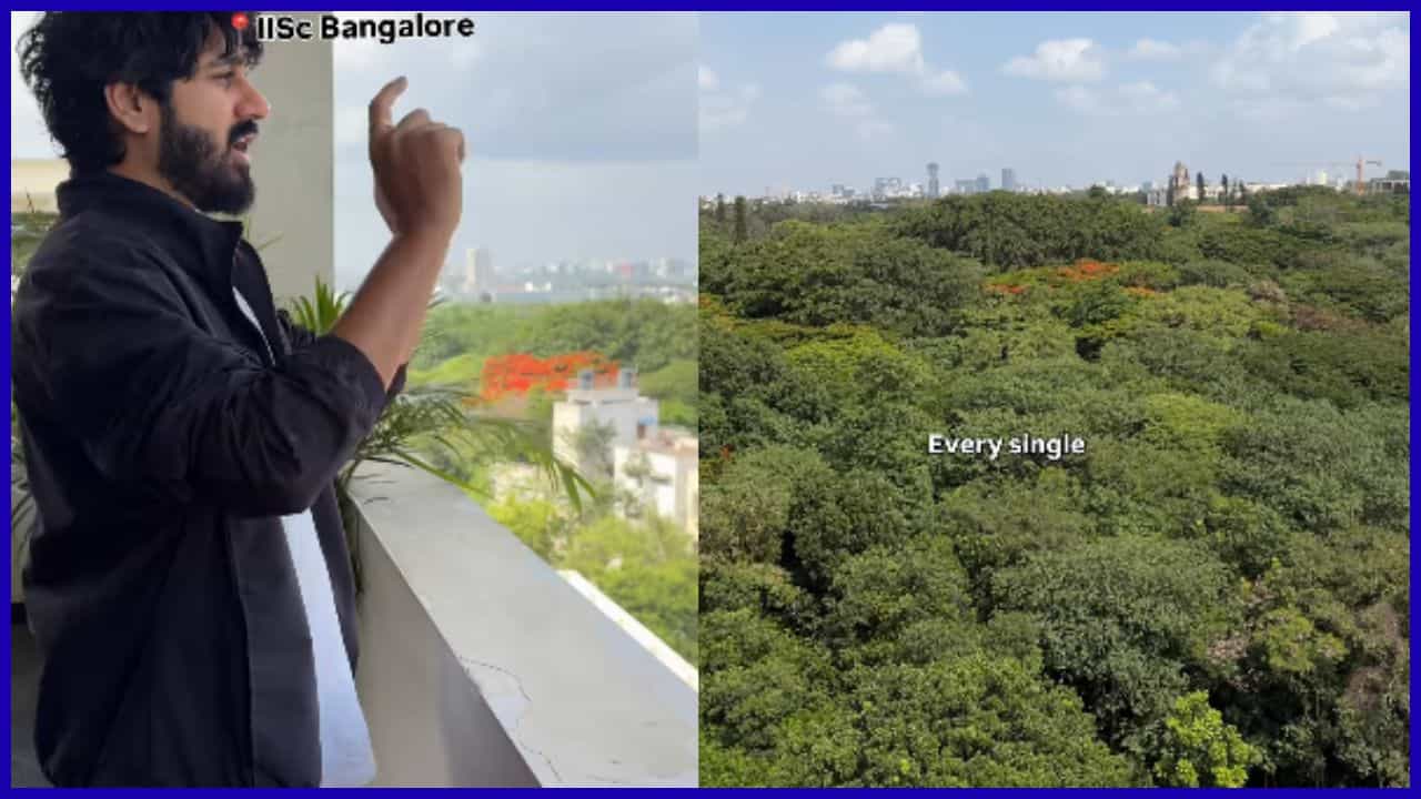 ಇದು ಅಡವಿಯಲ್ಲ, ಸಿಲಿಕಾನ್ ಸಿಟಿ ಒಳಗಿನ ‘ಅರ್ಬನ್ ಫಾರೆಸ್ಟ್’: ಐಐಎಸ್ಸಿ ಕ್ಯಾಂಪಸ್ನ ಮನಮೋಹಕ ಹಸಿರು ಸೌಂದರ್ಯ ಹೇಗಿದೆ ನೋಡಿ? ಇದು ಅಡವಿಯಲ್ಲ, ಸಿಲಿಕಾನ್ ಸಿಟಿ ಒಳಗಿನ ‘ಅರ್ಬನ್ ಫಾರೆಸ್ಟ್’: ಐಐಎಸ್ಸಿ ಕ್ಯಾಂಪಸ್ನ ಮನಮೋಹಕ ಹಸಿರು ಸೌಂದರ್ಯ ಹೇಗಿದೆ ನೋಡಿ?