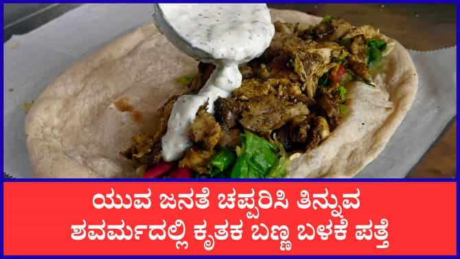 ರಾಜಧಾನಿ ಜನರೇ ಶವರ್ಮ ತಿನ್ನುವ ಮುನ್ನ ಎಚ್ಚರ!