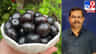 ನೇರಳೆ ಹಣ್ಣು ಮಧುಮೇಹ, ಜೀರ್ಣಕ್ರಿಯೆಗೆ ರಾಮಬಾಣ; ಸಂಪೂರ್ಣ ಆರೋಗ್ಯ ಲಾಭ