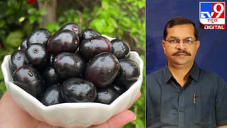 ನೇರಳೆ ಹಣ್ಣು ಮಧುಮೇಹ, ಜೀರ್ಣಕ್ರಿಯೆಗೆ ರಾಮಬಾಣ; ಸಂಪೂರ್ಣ ಆರೋಗ್ಯ ಲಾಭಗಳ ಬಗ್ಗೆ ಇಲ್ಲಿದೆ ಮಾಹಿತಿ