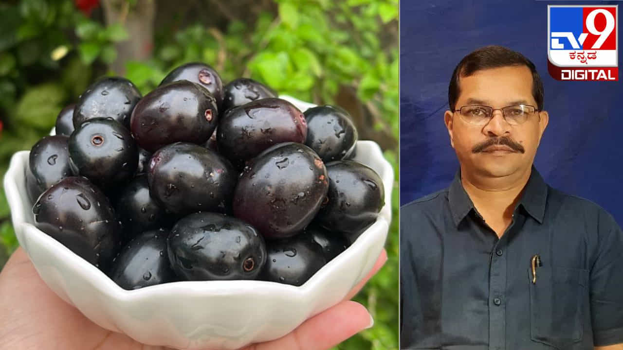 ನೇರಳೆ ಹಣ್ಣು ಮಧುಮೇಹ, ಜೀರ್ಣಕ್ರಿಯೆಗೆ ರಾಮಬಾಣ; ಸಂಪೂರ್ಣ ಆರೋಗ್ಯ ಲಾಭಗಳ ಬಗ್ಗೆ ಇಲ್ಲಿದೆ ಮಾಹಿತಿ