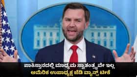 ಪಾಕ್​ನಲ್ಲಿ ಮಾಧ್ಯಮ ಸ್ವಾತಂತ್ರ್ಯವಿಲ್ಲ; ಯುಎಸ್ ಉಪಾಧ್ಯಕ್ಷ ಜೆಡಿ ವ್ಯಾನ್ಸ್